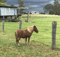 AMs Farm Stay - Lismore Accommodation