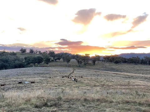 Luxury Country Guesthouse On Large Cattle Station - Lismore Accommodation 1