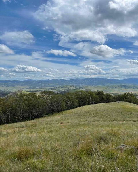 Luxury Country Guesthouse On Large Cattle Station - Lismore Accommodation 3