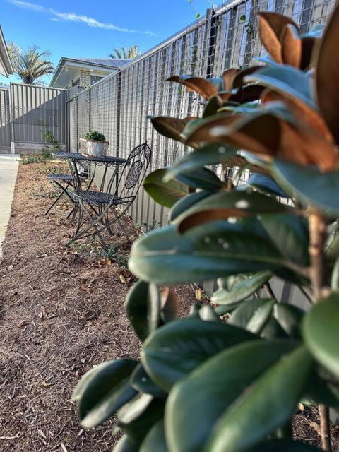 Magnolia Little Gem - Lismore Accommodation 0