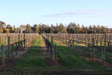 Milawa Vineyard Views - Guesthouse 1 - Lismore Accommodation 2