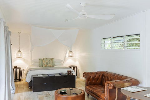 Mist At Cape Tribulation - Lismore Accommodation 1