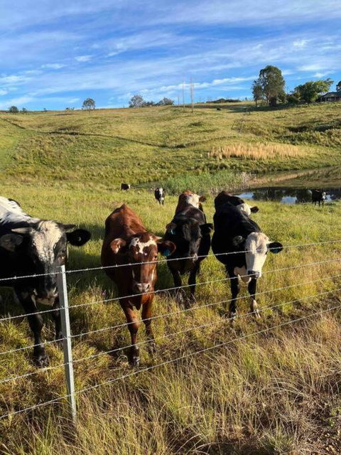 Modern Farmhouse - Lismore Accommodation 3