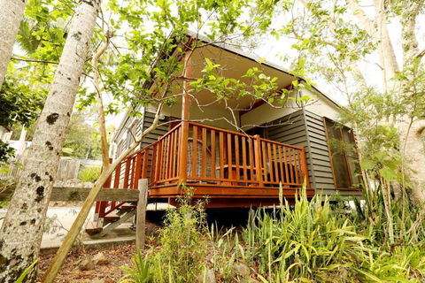 Mt Warning Rainforest Park - Lismore Accommodation 1