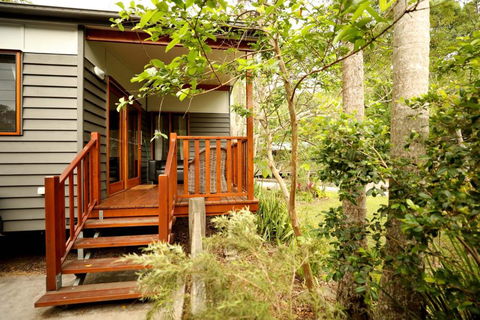 Mt Warning Rainforest Park - Lismore Accommodation 0