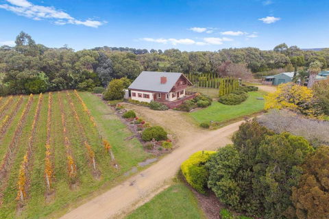 Northway Downs Estate Vineyard - Lismore Accommodation 3