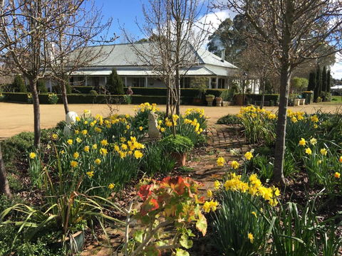 Petschel House - Lismore Accommodation 1