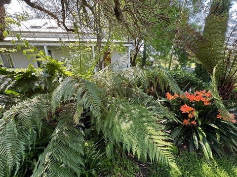 Petschel House - Lismore Accommodation 3