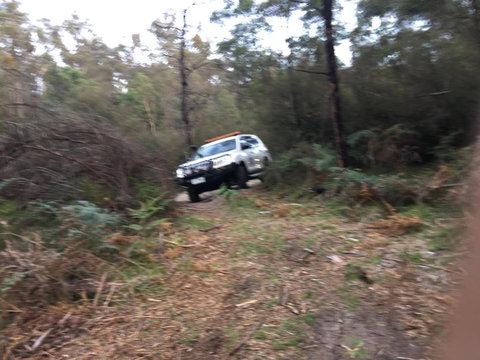 PNL4WDriving Bairnsdale Hub - Lismore Accommodation 0