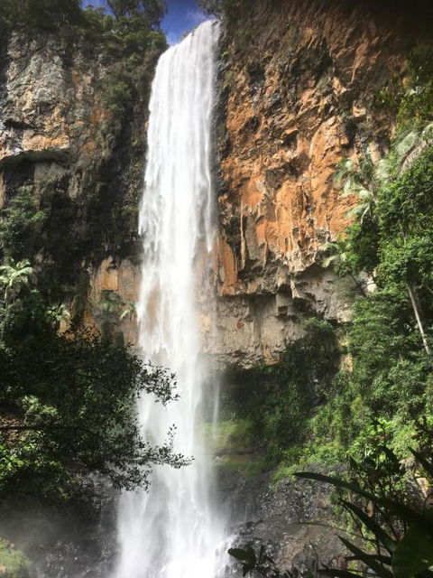 Purling Brook Falls Gwongorella - Lismore Accommodation 1
