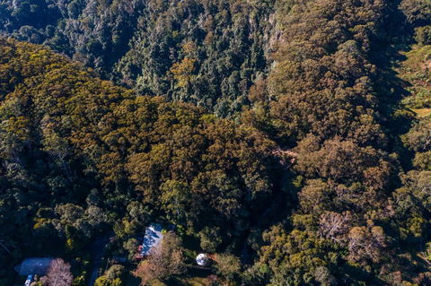 Purling Brook Falls Gwongorella - Lismore Accommodation 2