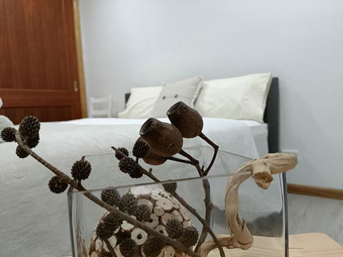 Quiet Nature-Filled Ground Floor Unit - Lismore Accommodation 1