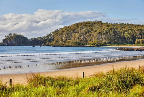 Rare Broulee Beachfront House - Lismore Accommodation 3