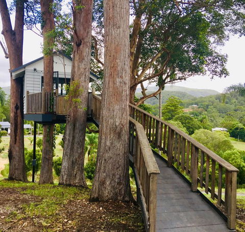 Austinvilla Estate - Lismore Accommodation 2