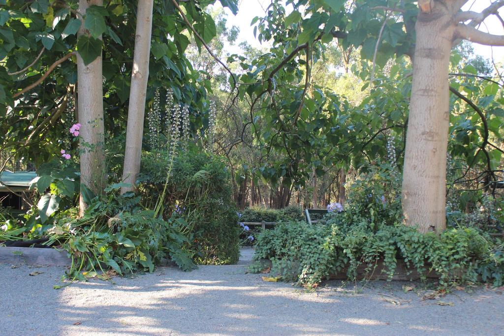 Avonsleigh VIC Lismore Accommodation