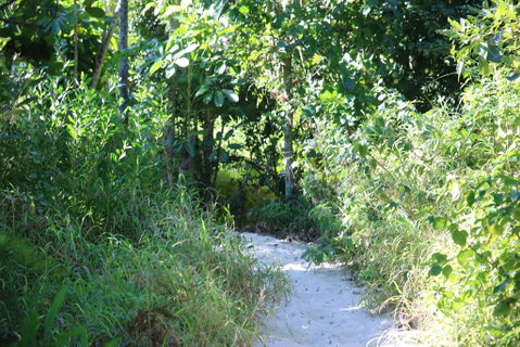 Backpackers Inn On The Beach - Lismore Accommodation 2