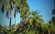 Ballina Colonial Motel - thumb 3