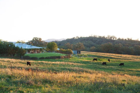 Rosby Guesthouse And Studio - Lismore Accommodation 0