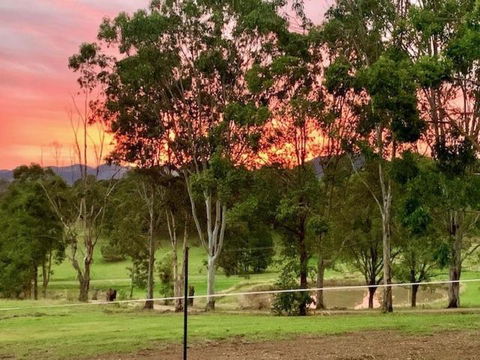 Rosehill Cottage And Bush Retreat - Lismore Accommodation 2