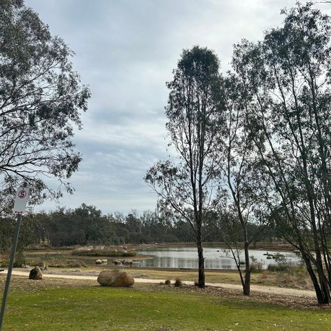 Rutherglen Holiday Park - Lismore Accommodation 0