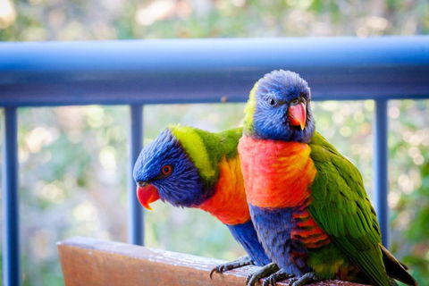 Sanctuary Lake Apartments - Lismore Accommodation 1