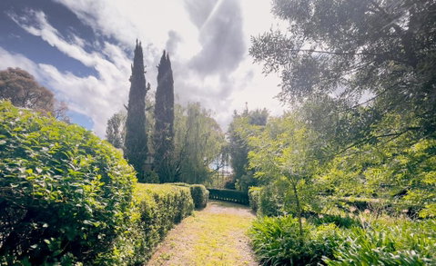 Sanctuary Park Cottages - Lismore Accommodation 1