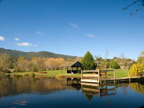 Sanctuary Park Cottages - Lismore Accommodation 0