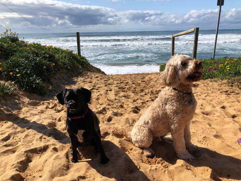 Sanctuary Retreat - Lismore Accommodation 2