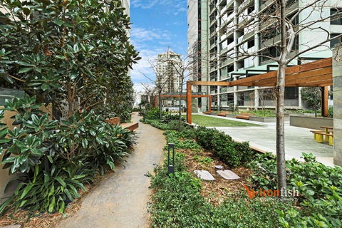 Sakura Apartment - Lismore Accommodation 3