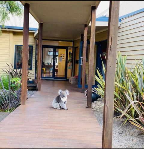 Sandpiper Motel Apollo Bay - Lismore Accommodation 3