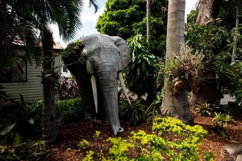 Sarina Palms Caravan And Cabins Village - Lismore Accommodation 3