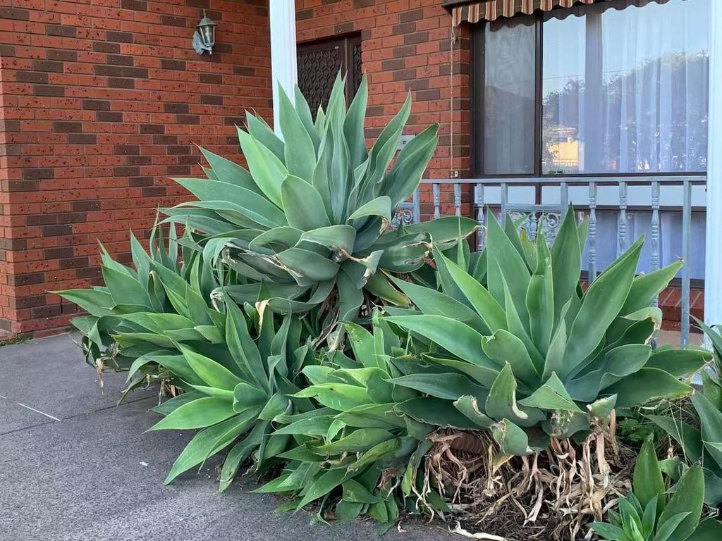 Bentleigh East VIC Lismore Accommodation