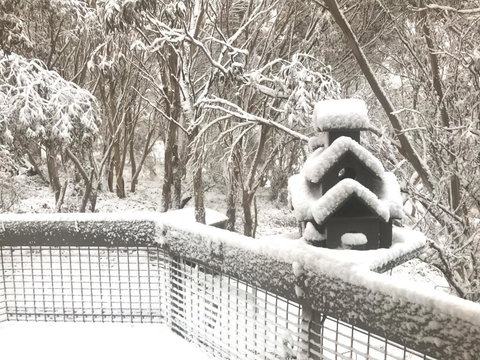 Belltrees - Lismore Accommodation 1