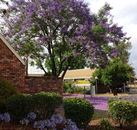Belvoir Village Motel  Apartments Wodonga - Lismore Accommodation