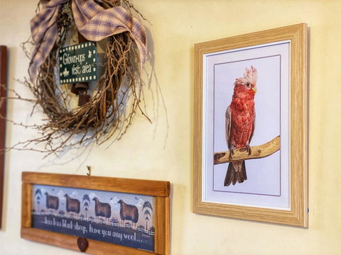 Bendleby Ranges - Lismore Accommodation 1