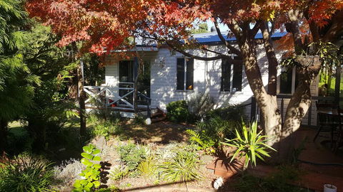 Bird N Branch - Lismore Accommodation 0