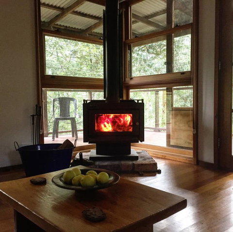 Bluegums Cabins - Lismore Accommodation 1