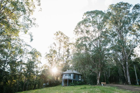 Bluegums Cabins - Lismore Accommodation 0
