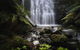 The Source, Otways - thumb 2