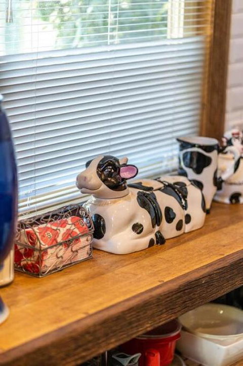 The Spotted Cow,city Fringe,pet Friendly-Free Wine - Lismore Accommodation 2