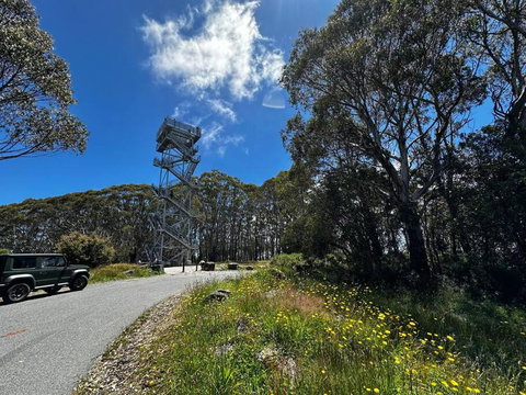 Tiny House At Gilderoy Valley Views - Lismore Accommodation 1