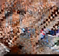 Private Tour Jenolan Caves  Blue Mountains in a day - Lismore Accommodation