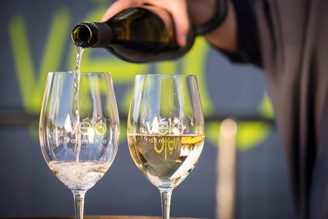 Full Day Tamar Valley Wine Tour - Lismore Accommodation 2