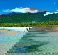 5-Day Best of Cairns with Daintree Kuranda and Great Barrier Reef - Lismore Accommodation