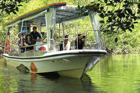 5-Day Best Of Cairns With Daintree, Kuranda, And Great Barrier Reef - Lismore Accommodation 1