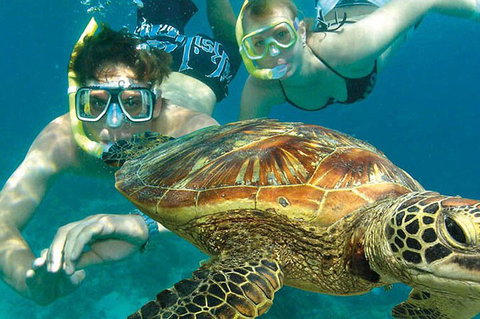8-Day Cairns Tour: Great Barrier Reef, Kuranda, Daintree Rainforest - Lismore Accommodation 1