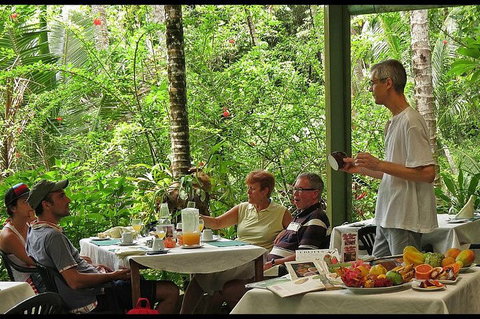 8-Day Cairns Tour: Great Barrier Reef, Kuranda, Daintree Rainforest - Lismore Accommodation 4