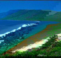Cairns Reef and Rainforest Combo Daintree Rainforest and the Great Barrier Reef - Lismore Accommodation