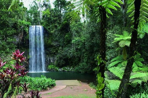 Paronella Park And Millaa Millaa Falls Full-day Tour From Cairns - Lismore Accommodation 3