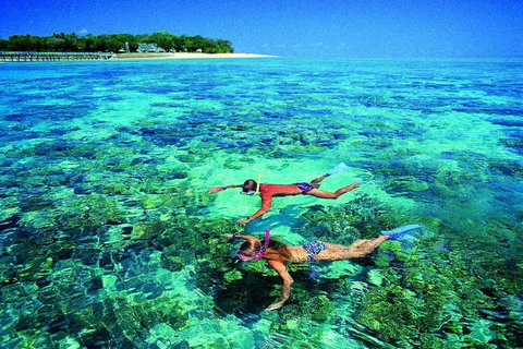 4-Day Cairns With Great Barrier Reef And Daintree Rainforest - Lismore Accommodation 2